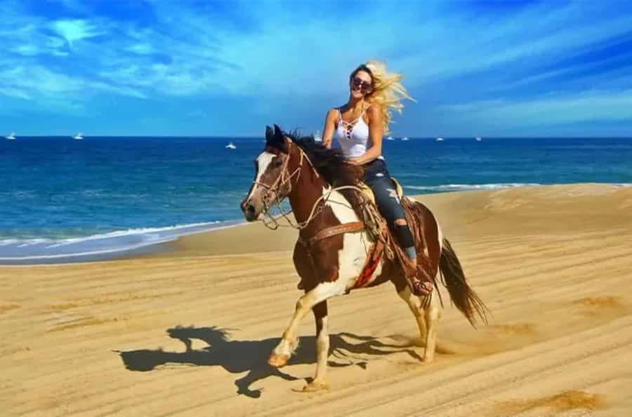 Doha : Arabian Horse Ride Experience With Transfer - Key points to know before you book