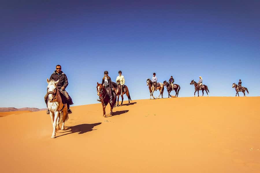 Doha : Arabian Horse Ride Experience With Transfer - Leaving Doha for Sealine by SUV