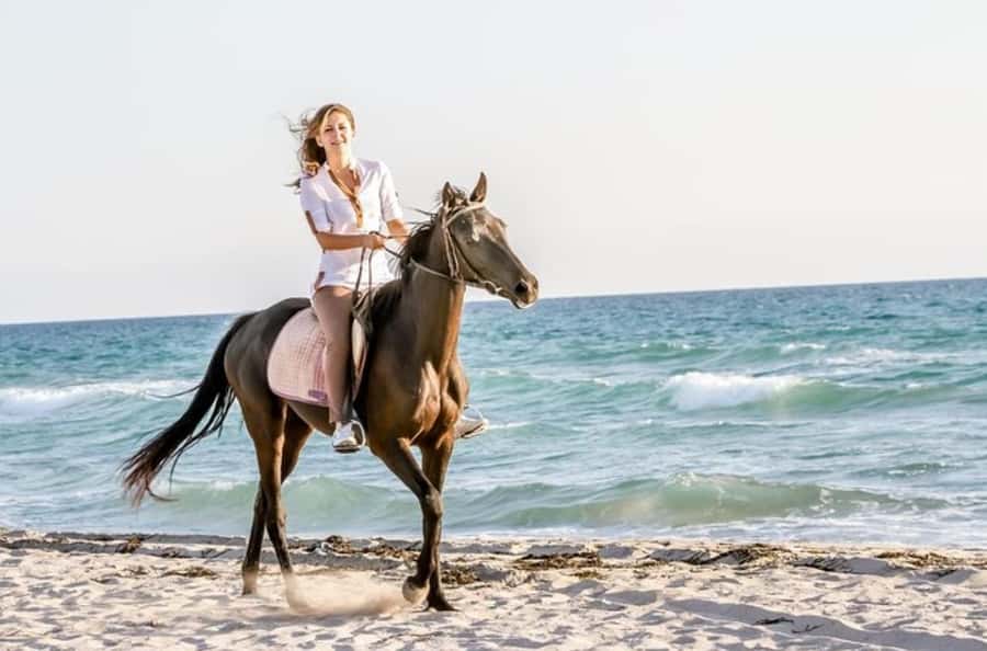 Doha : Arabian Horse Ride Experience With Transfer - One hour on horseback in the desert