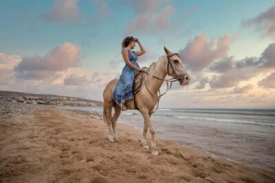 Arabian Horse Ride Experience With Transfer