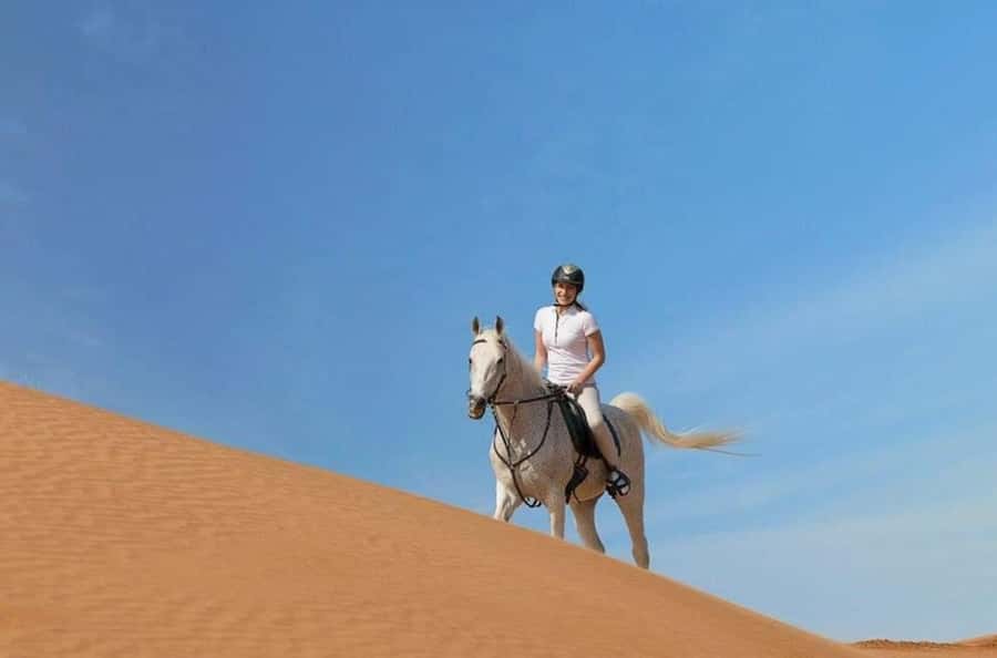 Doha : Arabian Horse Ride Experience With Transfer - Who will enjoy this ride most