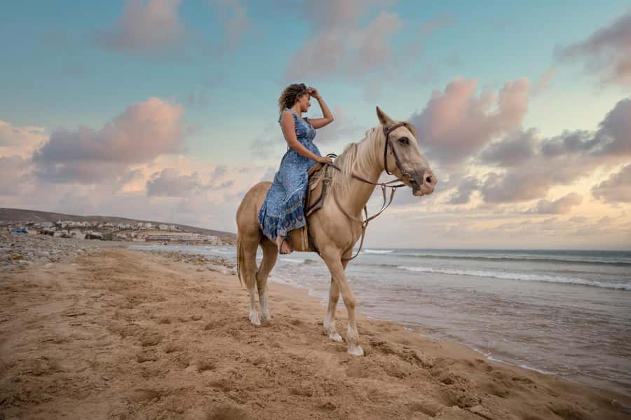 Doha : Arabian Horse Ride Experience With Transfer - Meeting your horse and instructor at Sealine