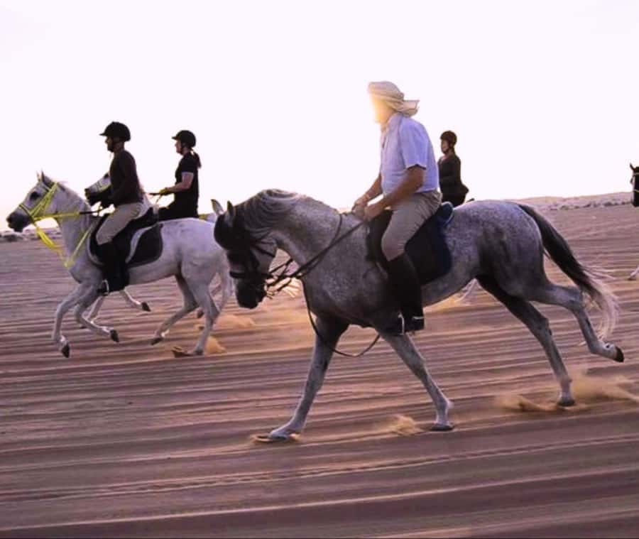 Doha: Arabian Horse Riding Experience –Sea or Desert Options - Is $123 good value?