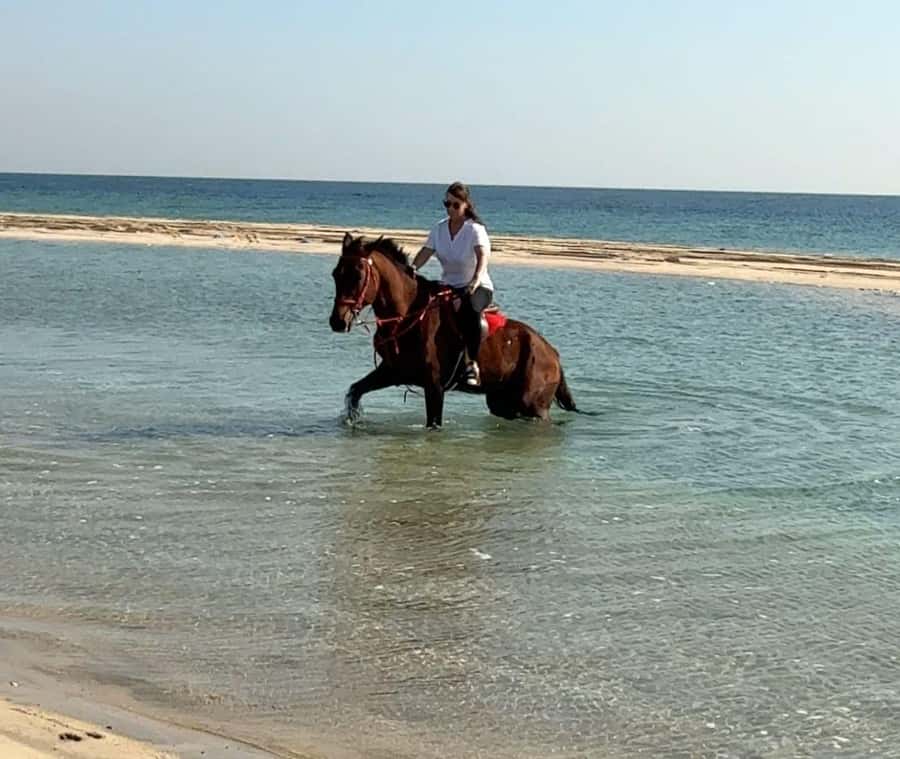 Doha: Arabian Horse Riding Experience –Sea or Desert Options - What the ride is really about