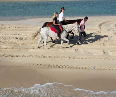 Arabian Horse Riding Experience –Sea or Desert Options