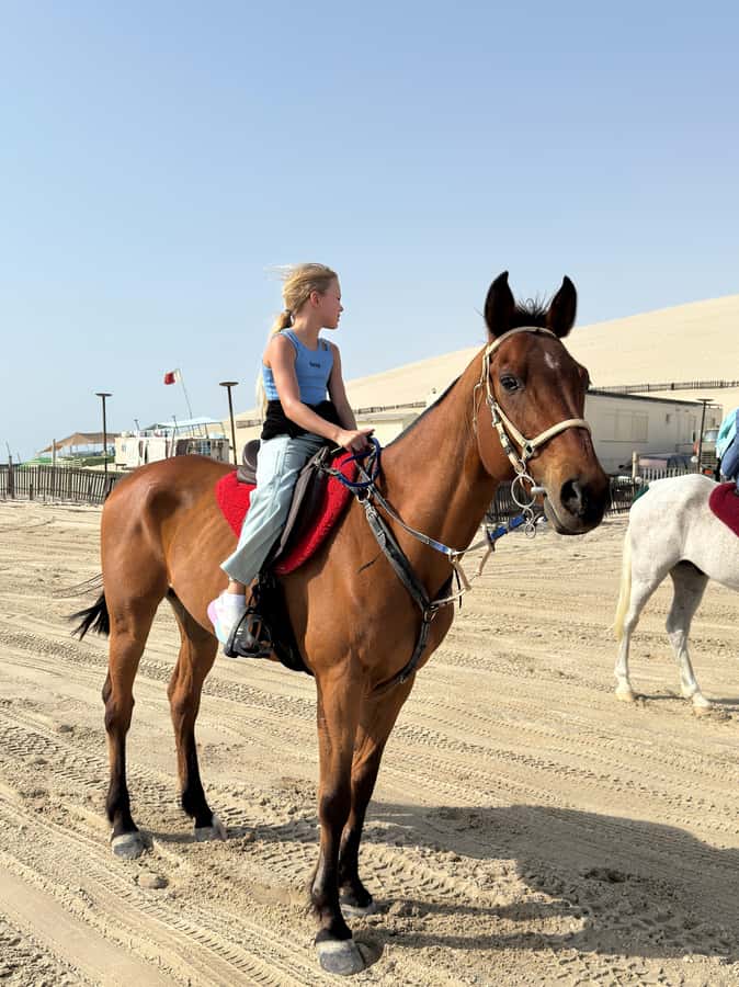 Doha: Arabian Horse Riding Experience –Sea or Desert Options - Photos, family transport, and the personal touch