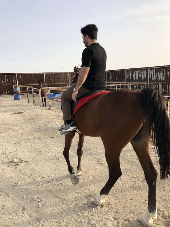 Doha: Arabian Horse Riding Experience –Sea or Desert Options - Optional 4x4 desert safari