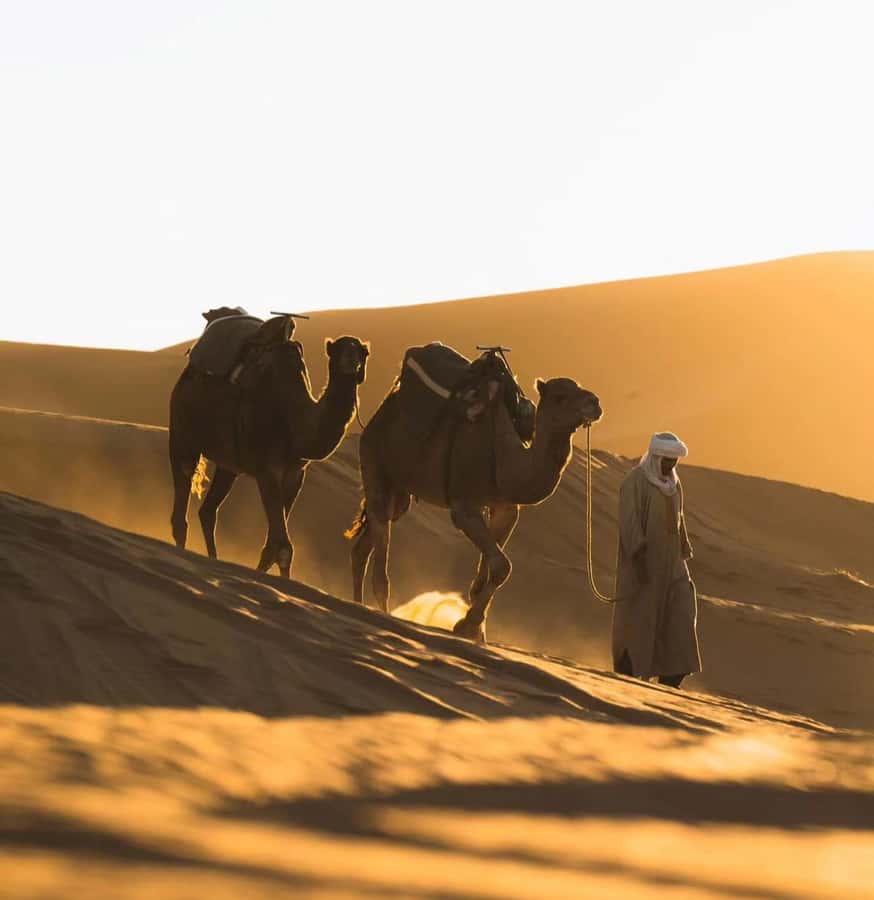 Doha: ATV/Desert Safari with Activities and Inland Sea Stop - The Inland Sea is the trip’s memorable finish