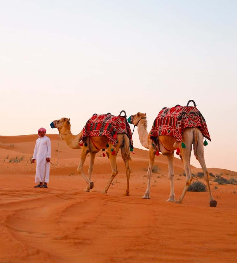 Doha: ATV/Desert Safari with Activities and Inland Sea Stop - Why the low price offers good value
