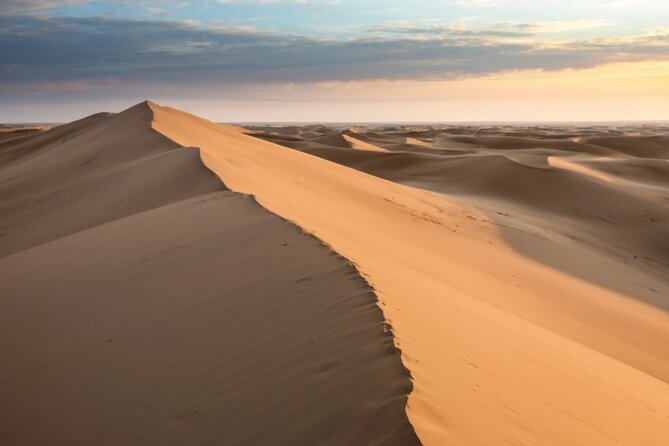 Doha ATV Quad Bike Adventure in the Middle of Desert Qatar - Who will enjoy this desert outing most