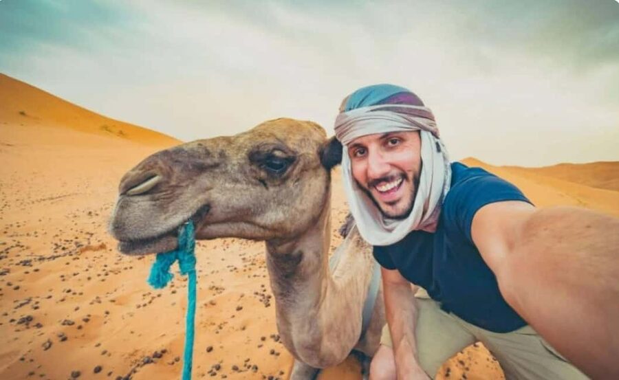 Doha: ATV, Quad or Buggy, Dune Bashing, Camel & Sandboarding - What this Doha desert tour really gives you