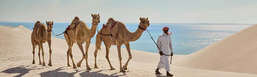 Doha: ATV/Quad, Safari 4x4, Camels, Sandboarding& Inland Sea - Timing, comfort, and practical preparation