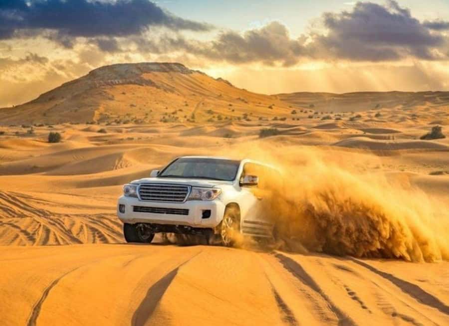 Doha: Budget Friendly Desert Safari,CamelRide & Sandboarding - Key points at a glance