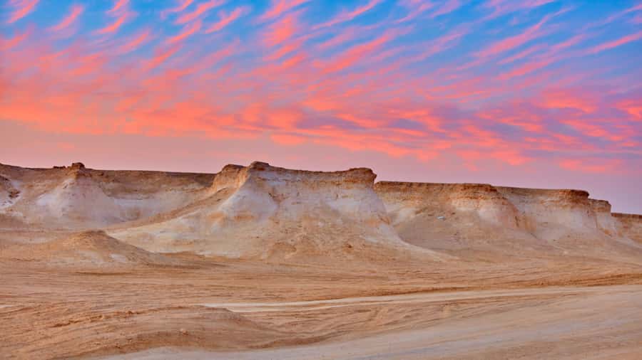 Doha Camel Race Track & Richard Serra Desert Sculpture Tour - Key points to know before you book
