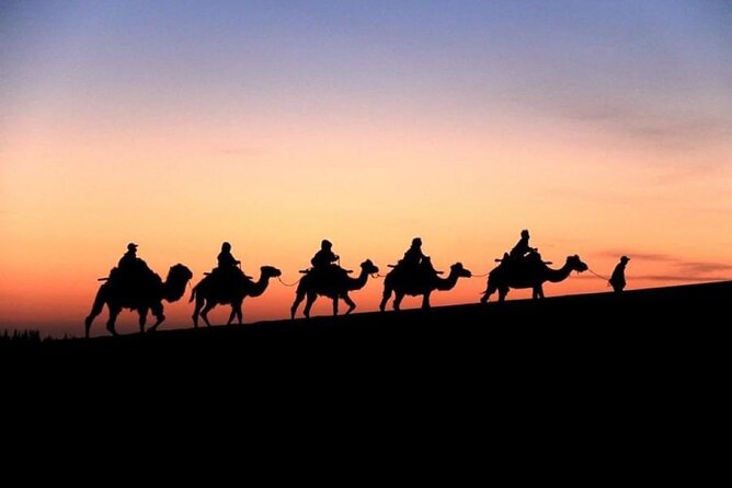 Doha City and Desert Safari Tours (Combo Tour) - Souq Waqif, the most traditional stop