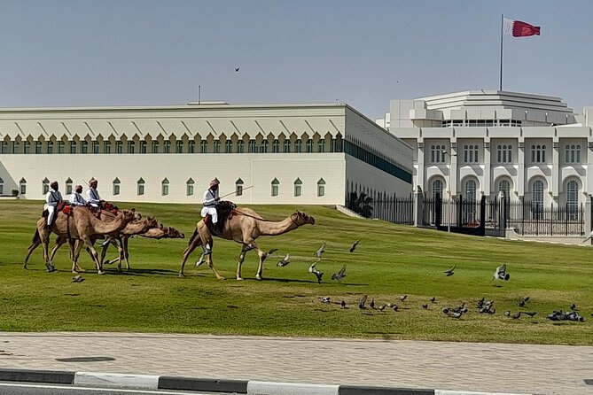 Doha City Tour with Pick Up & drop off Airport or Cruise Terminal - Souq Waqif: give the market your full attention