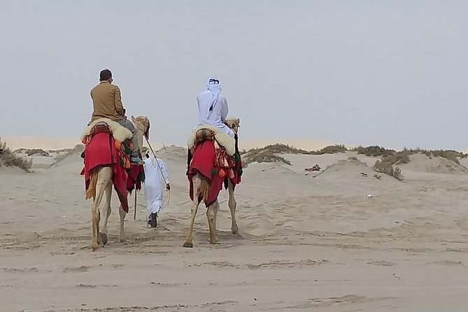 Doha Combo City And Half Day Desert Safari Tour No Hidden cost - Doha Corniche: a quick view of the bay