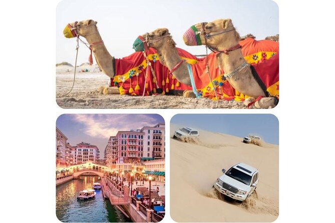 Doha : Combo Private City Tour & Half-day Desert Safari - The National Museum needs more than its one-hour slot