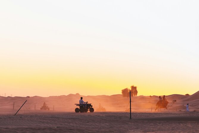 Doha Delights City Tour with Desert Safari and Inland Sea Visit - Souq Waqif is the strongest city stop