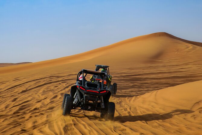 Doha Delights City Tour with Desert Safari and Inland Sea Visit - Camels, falcons, and refreshments add local context