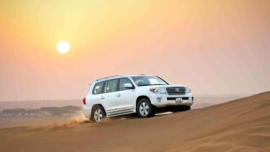Doha: Desert 4x4, ATV/Quad, Camels, Sandboarding, Inland sea - Why this Doha desert safari works so well