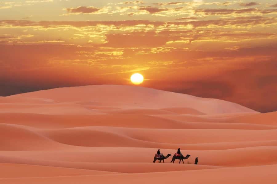Doha: Desert 4x4, ATV/Quad, Camels, Sandboarding, Inland sea - From Doha to Sealine Beach in about one hour