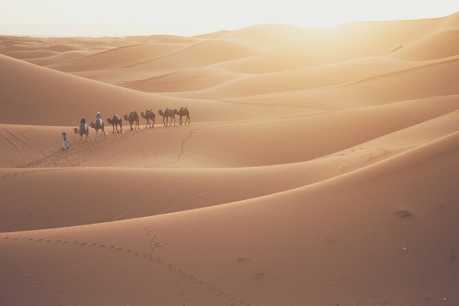 Doha Desert Adventure, Sandboarding, Dune Bashing,Inland Sea Tour - Is this suitable for families?