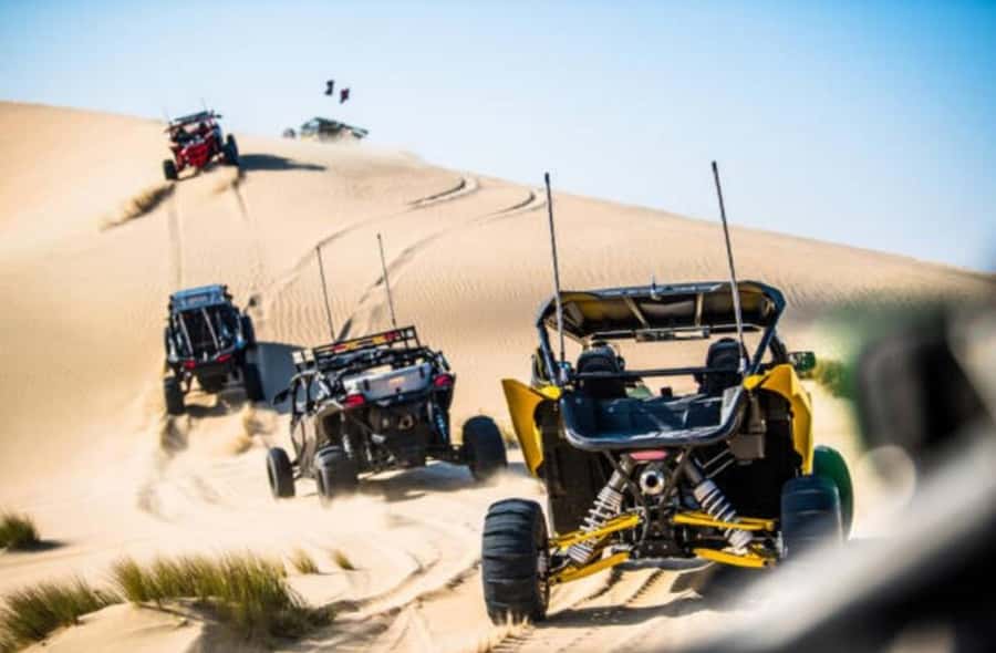 Doha: Desert Buggy Ride, Camel Ride, Dune Bashing, Sandboard - Sandboarding down a high dune