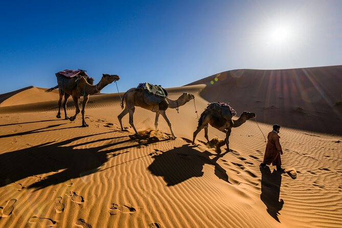 Doha Desert Excursion Dune Bashing Sandboarding Camel Ride - What $60 means in practical terms