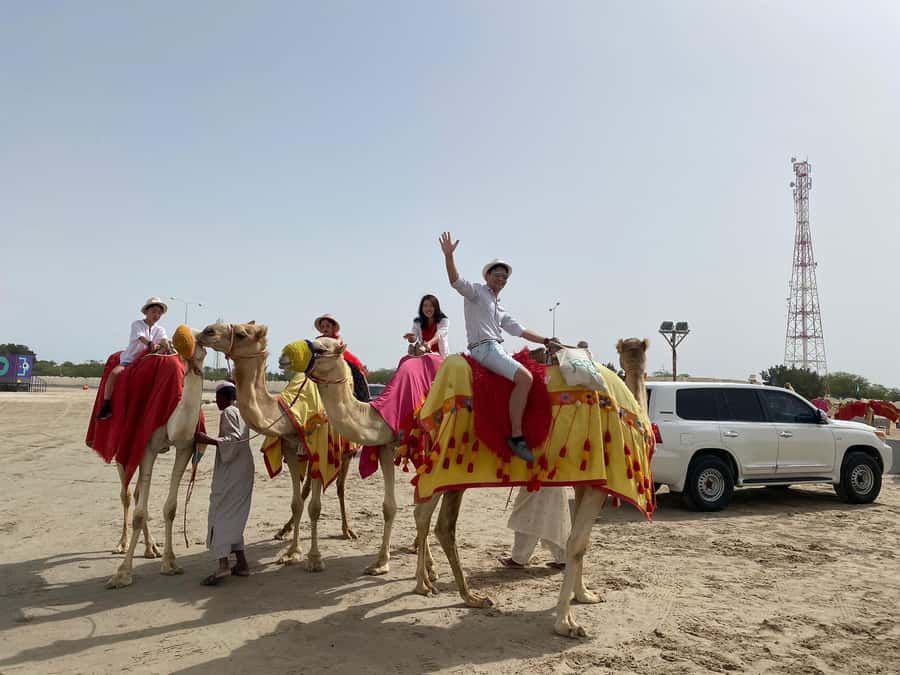 DOHA: Desert safari +Dune Bashing, Camel ride & Quad bikes - From Doha to Sealine Beach in a Land Cruiser