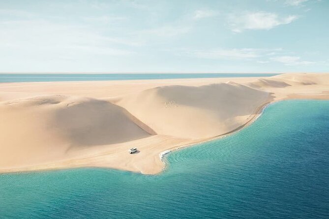 Doha: Desert Safari: Dune Bashing, Quad Bikes & Camel Rides - Why Sealine makes a good desert outing from Doha