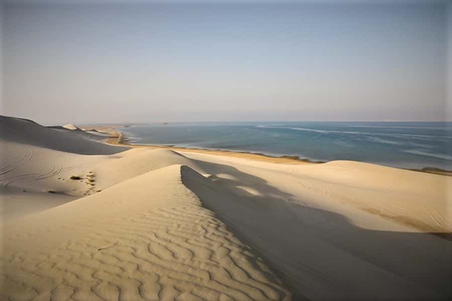 Doha: Desert Safari Dune Bashing, Sandboarding, & Camel Ride - Sandboarding and high-dune photo stops