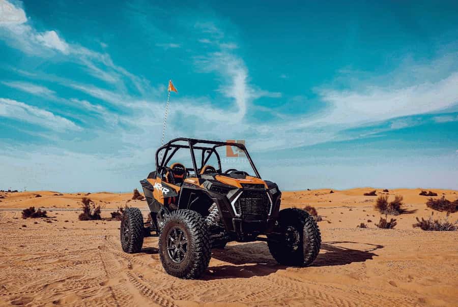 Doha: Desert Safari Experience – Quad Bike, Buggy/Camel Ride - Dune bashing with an experienced driver