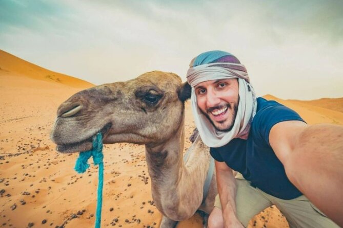 Doha Desert Safari Horse Riding, Camel Ride, ATVs & Inland Sea - Why this Doha desert safari feels different