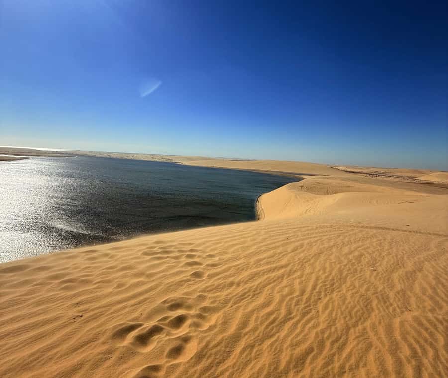 Doha: Desert Safari, Quad Bike, Camel Ride & Inland Sea - Key points to know before you book