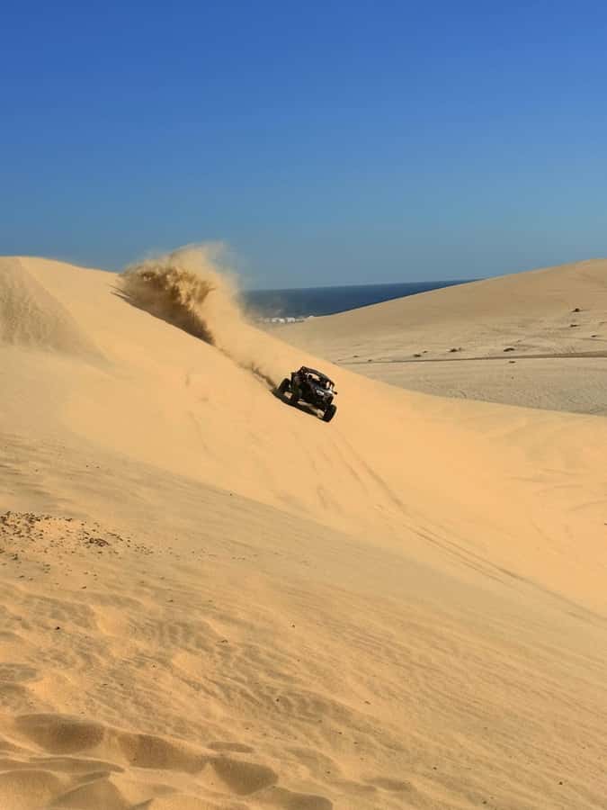 Doha: Desert Safari, Quad Bike, Camel Ride & Inland Sea - The camel stop: tradition with limited riding time
