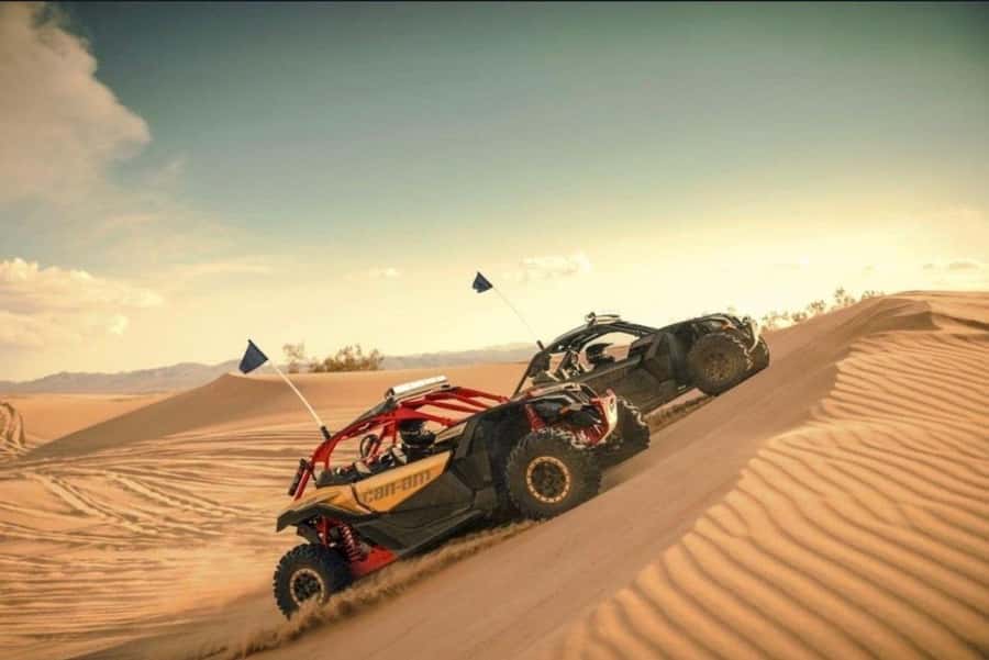 Doha: Desert Safari, Quad Bike, Camel Ride & Inland Sea Tour - Sandboarding and the final run to the sea