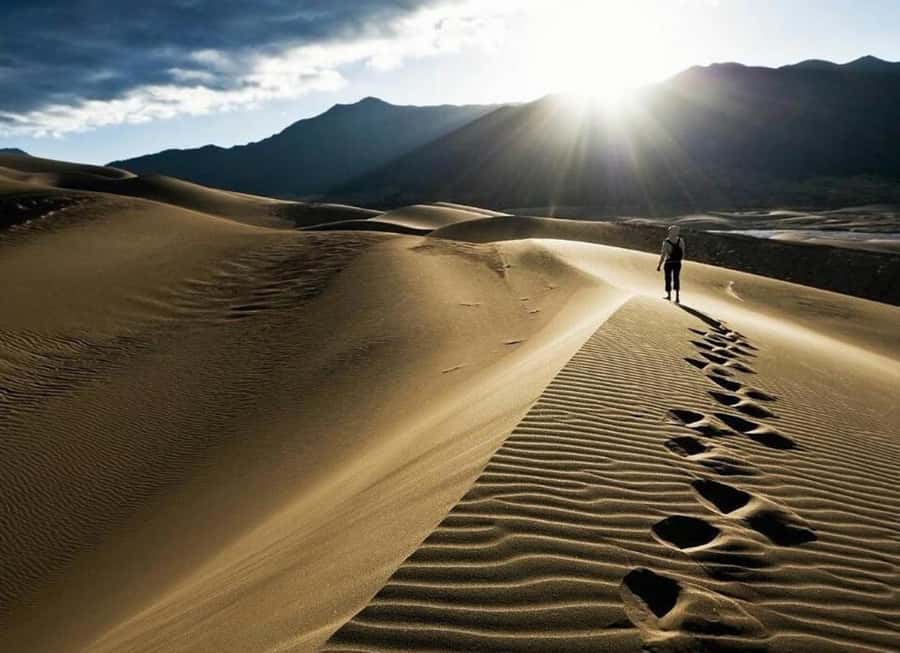 Doha: Desert Safari, Quad Biking, Sand Boarding & Camel Ride - From Doha streets to open sand