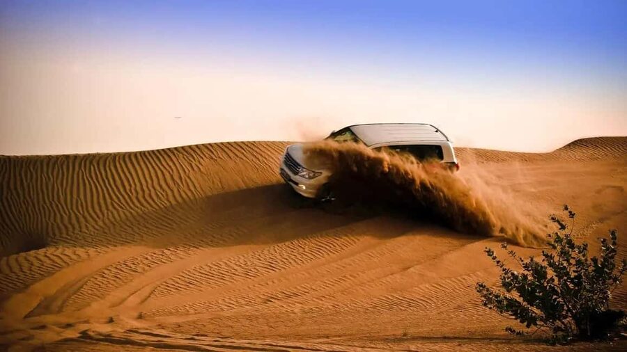 Doha: Desert Safari, Sandboarding, Camel Ride and Inland Sea - Key points to know before booking