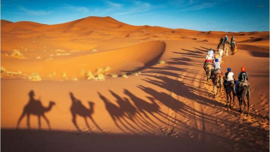 Doha: Desert Safari, Sandboarding, Camel Ride and Inland Sea - The Inland Sea, Qatar’s great payoff