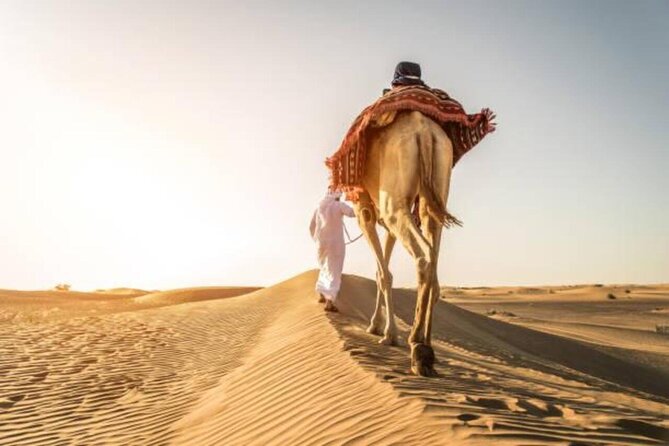 "Doha Desert : Safari, Sandboarding, Camel Ride & Inland Sea" - Choosing your driver and setting expectations