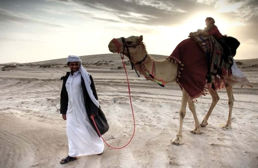 Doha Desert Safari: Sandboarding, Camel Ride & Swimming Fun - A five-minute taste of Bedouin travel