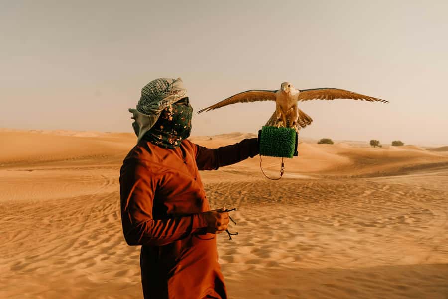 Doha: Desert Safari, Sandboarding, Dune Bashing & Inland Sea - Comfort, timing, and what to bring