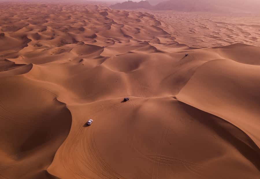 Doha: Desert Safari, Sandboarding, Dune Bashing & Inland Sea - Guides make the difference