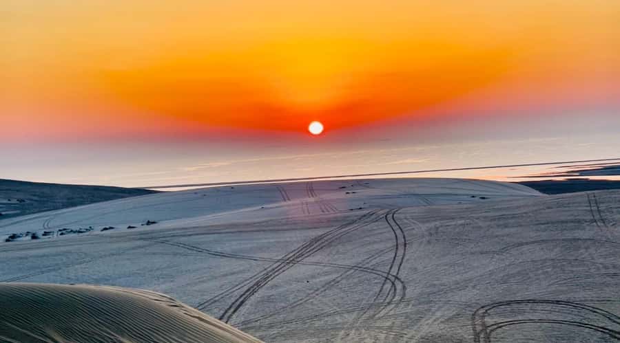 Doha: Desert Safari Sunrise Tour/Sunset Tour - Key points at a glance