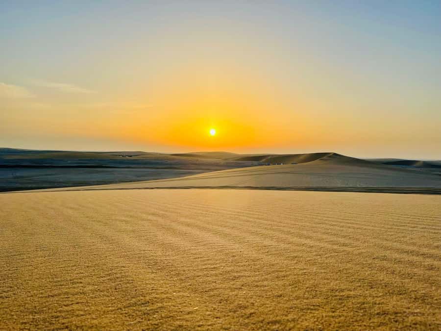 Doha: Desert Safari Sunrise Tour/Sunset Tour - Dune bashing across the golden sand