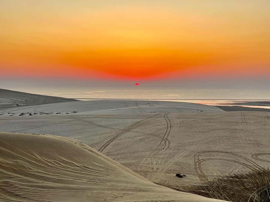Doha: Desert Safari Sunrise Tour/Sunset Tour - What the $103 price covers