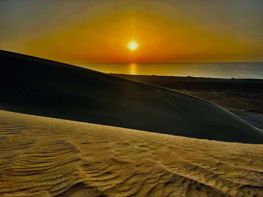 Doha: Desert Safari Sunrise Tour/Sunset Tour - Sunrise or sunset: which should you choose?