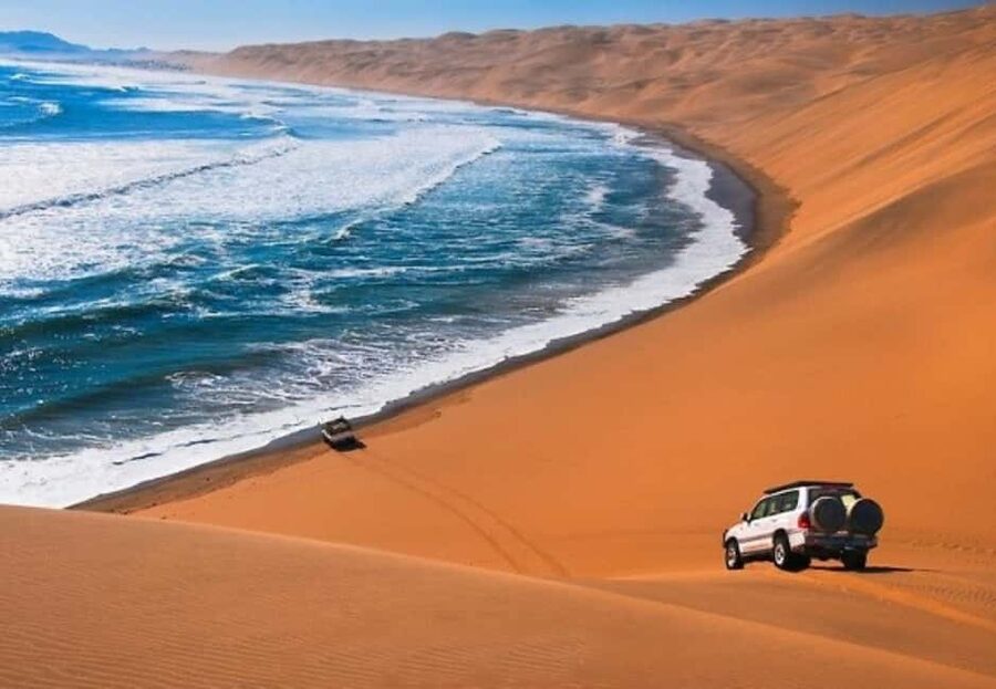 Doha: Desert Safari to the Inland Sea with All Activities - Sea Line Beach, camels, and falcon photographs
