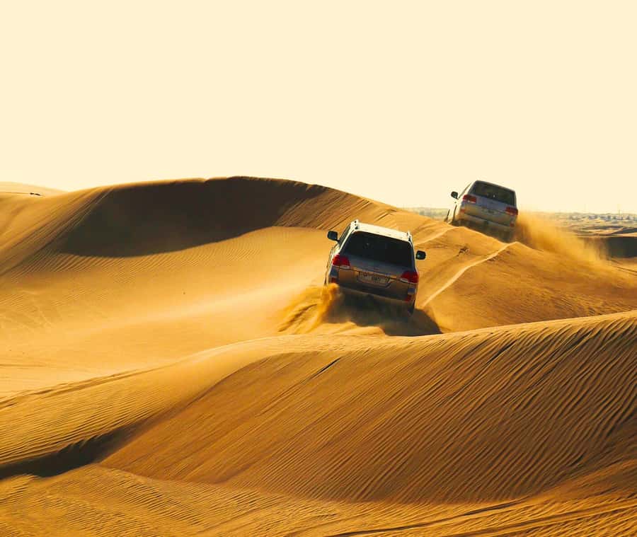 "Doha Desert Safari with all activities" - The first desert stop and your chance to settle in